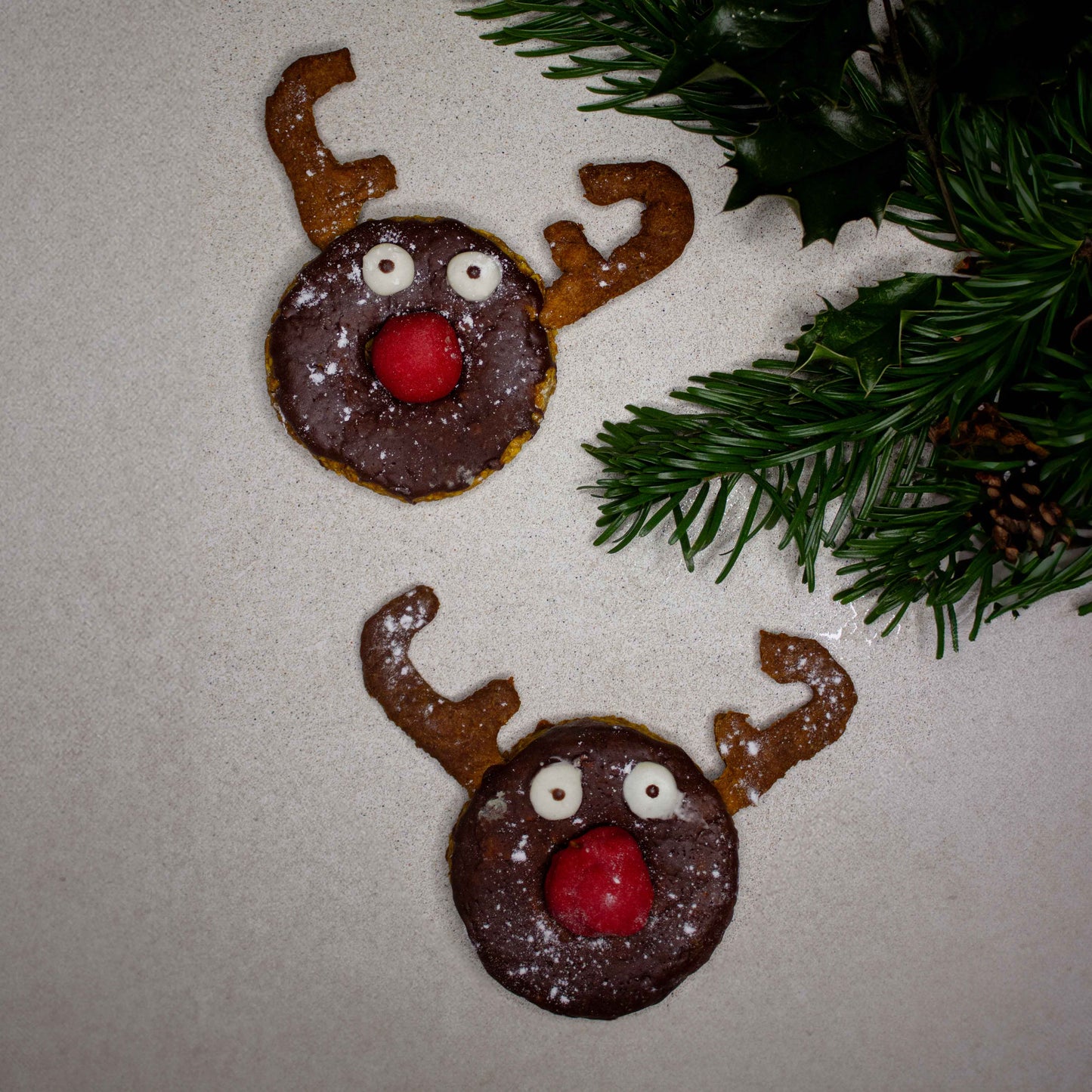 Donut the Red-Nosed Reindeer